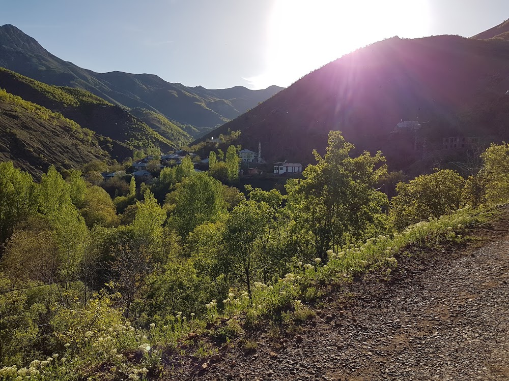 Arıcak Kayahisar İlkokulu Fotoğrafları 1