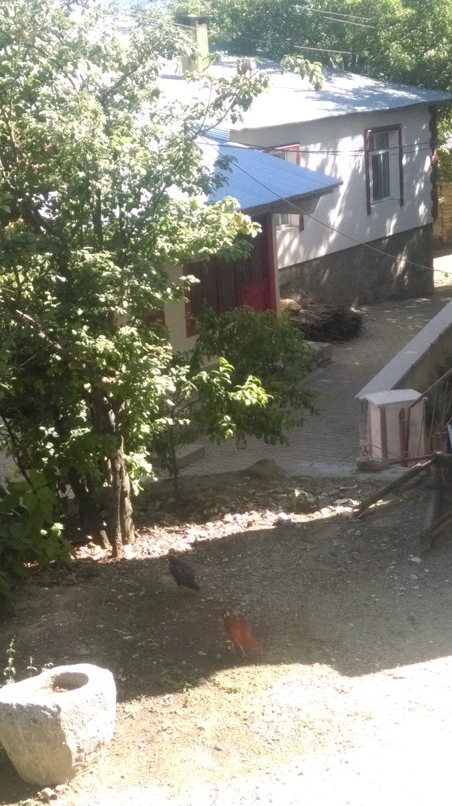 Elazığ Arıcak Küplüce İlkokulu Fotoğrafları 1