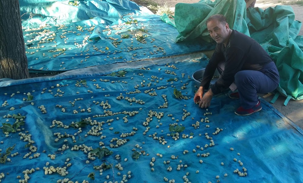 Kadıköy Bedriye Çetinkaya Anadolu Lisesi Fotoğrafları 1