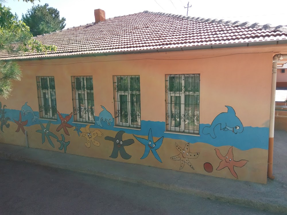 Kovancılar Fatih Sultan Mehmet İlkokulu Fotoğrafları 2