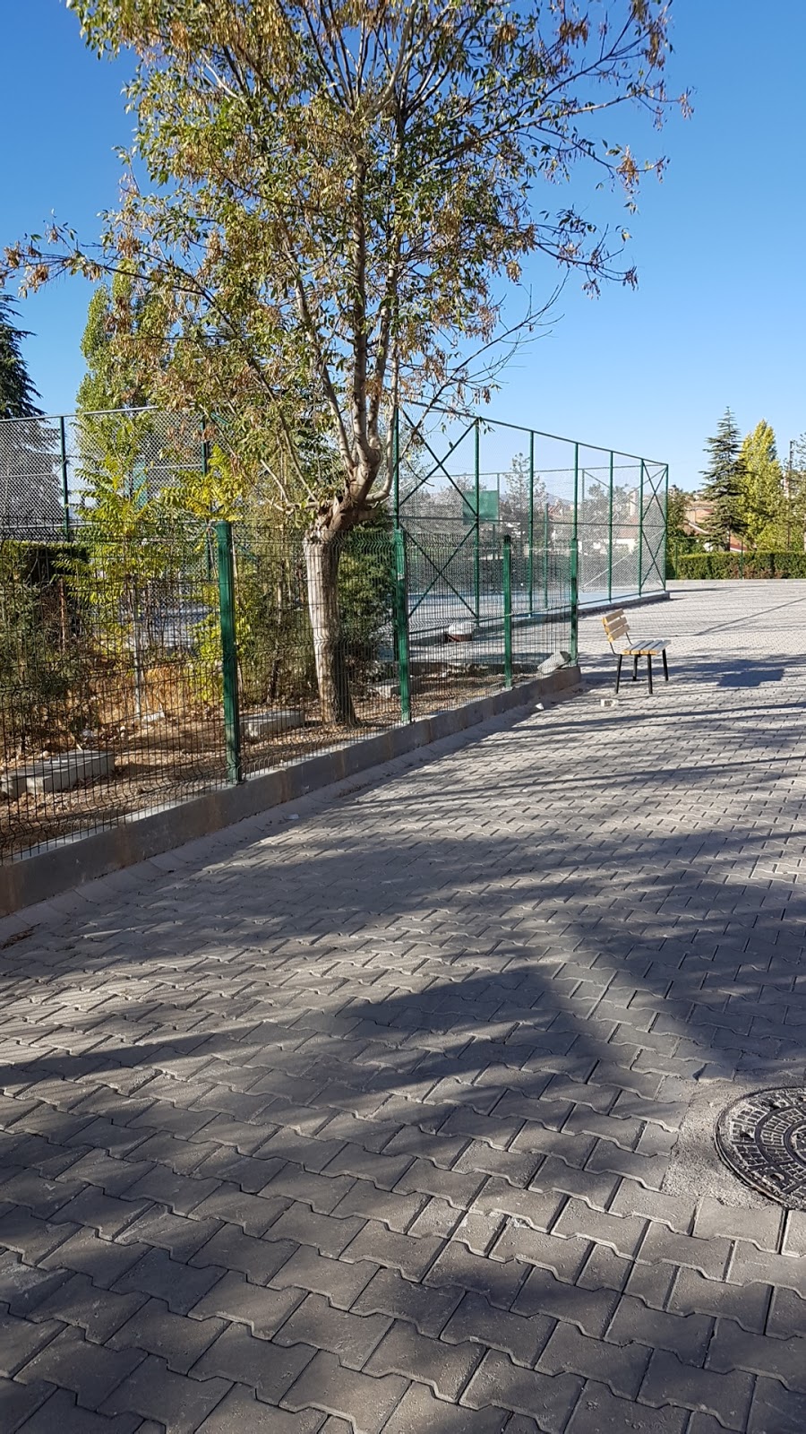 Şht. Mehmet Akpınar İlkokulu Fotoğrafları 5