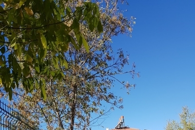 Şht. Mehmet Akpınar İlkokulu fotoğraf 3