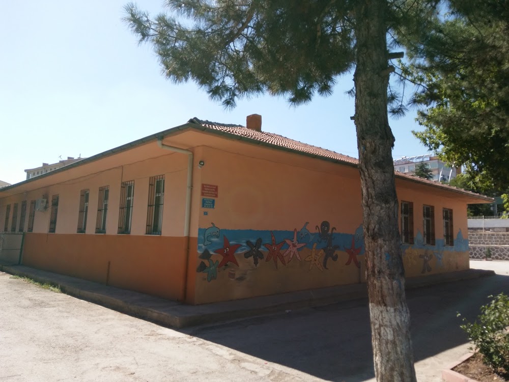 Tadım İlkokulu Fotoğrafları 5