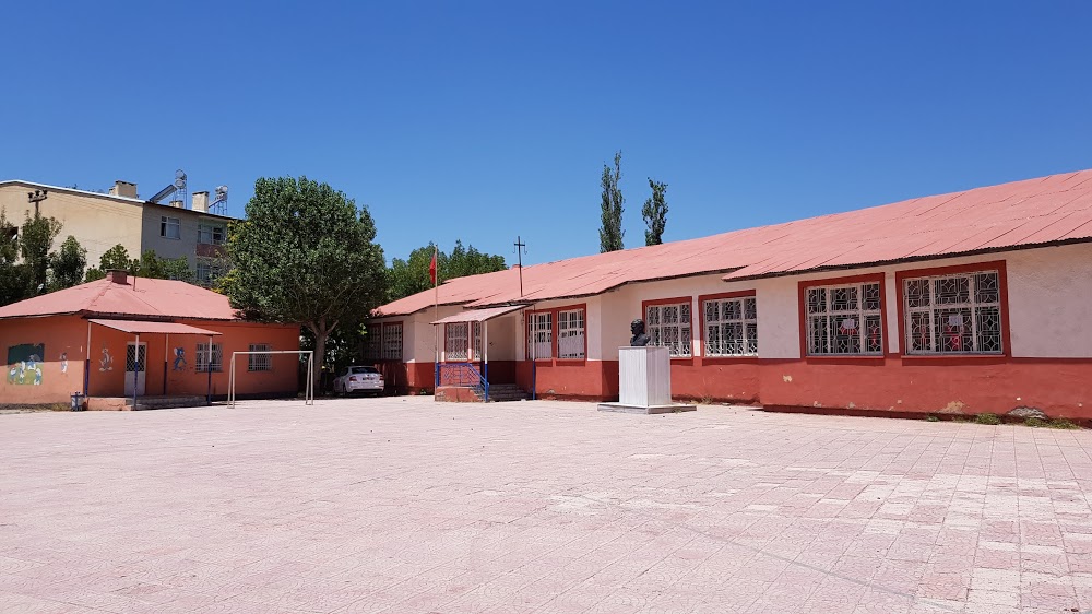 Karakoçan Cengiz Topel İlkokulu Fotoğrafları 1