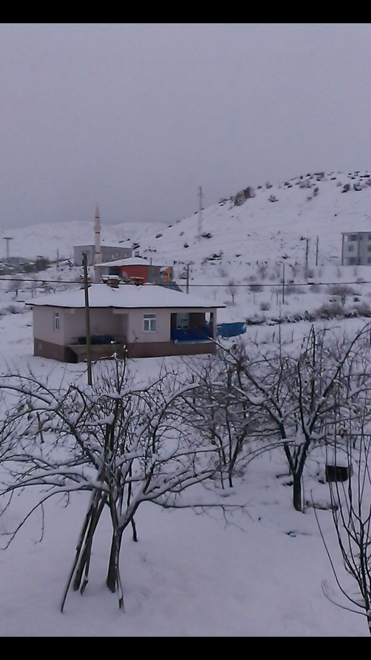 Palu Ortaokulu Fotoğrafları 2