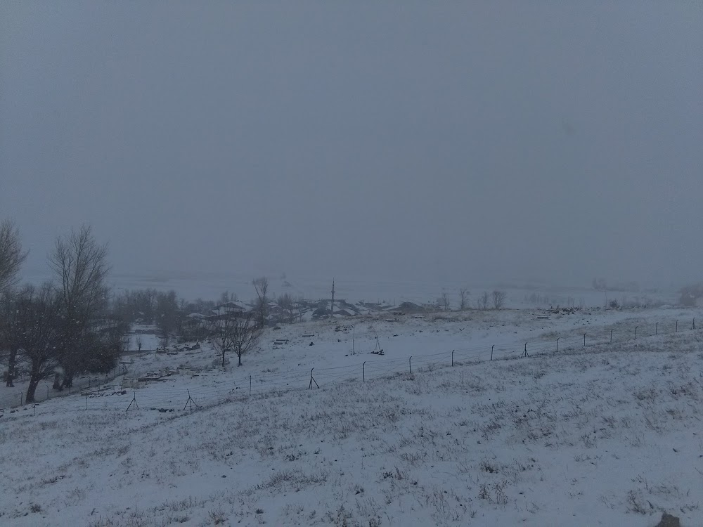 Cennetpınar Ortaokulu Fotoğrafları 2