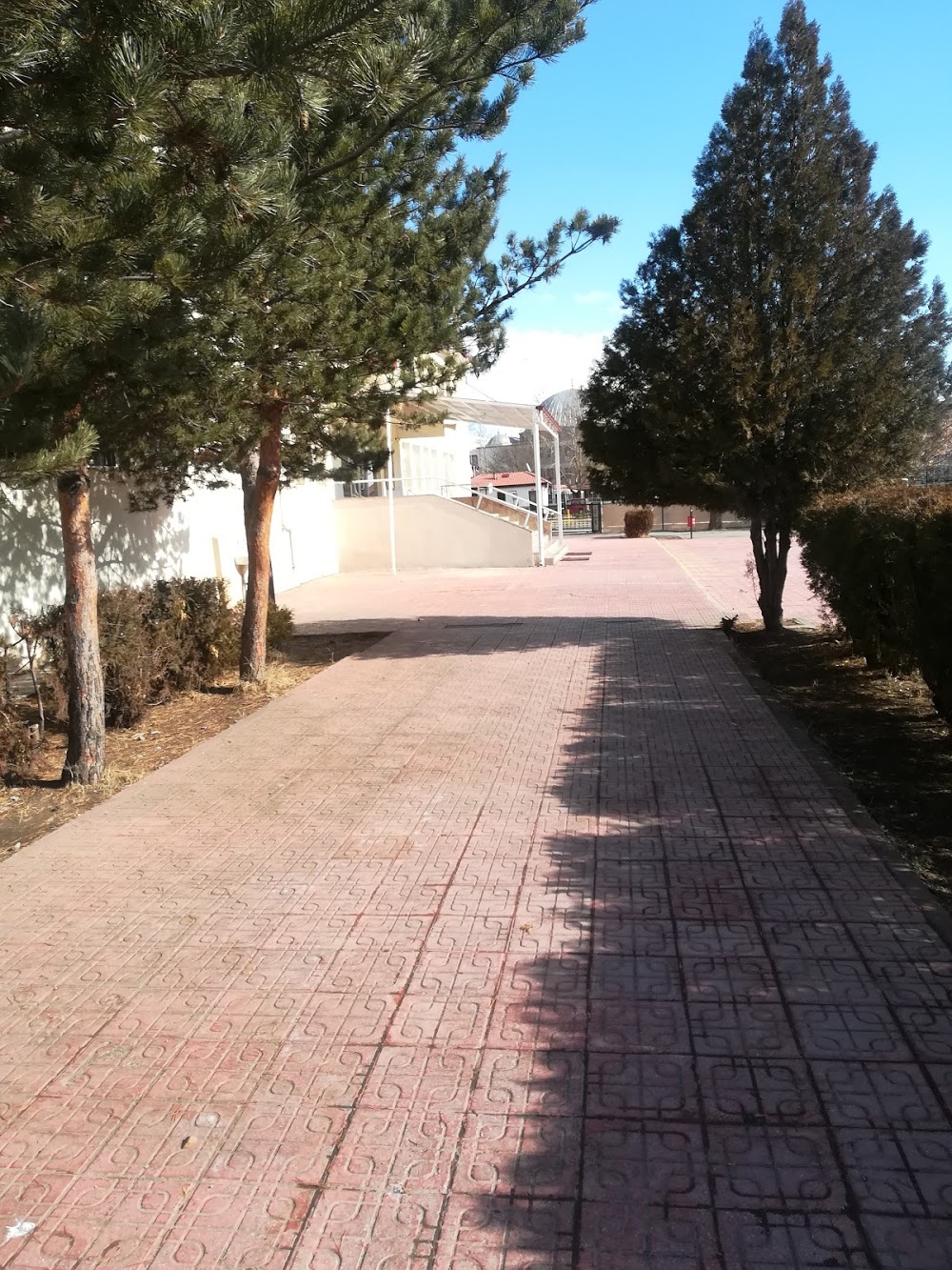 Kavakyolu Orgeneral Selahattin Demircioğlu Ortaokulu Fotoğrafları 6