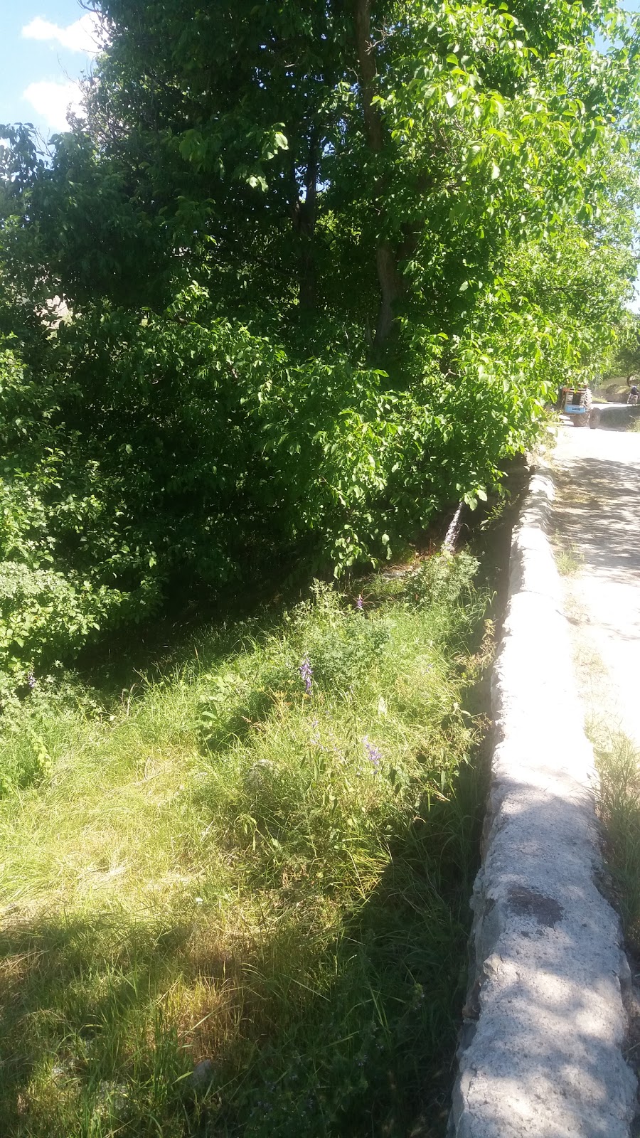 Kerer İlkokulu Fotoğrafları 7