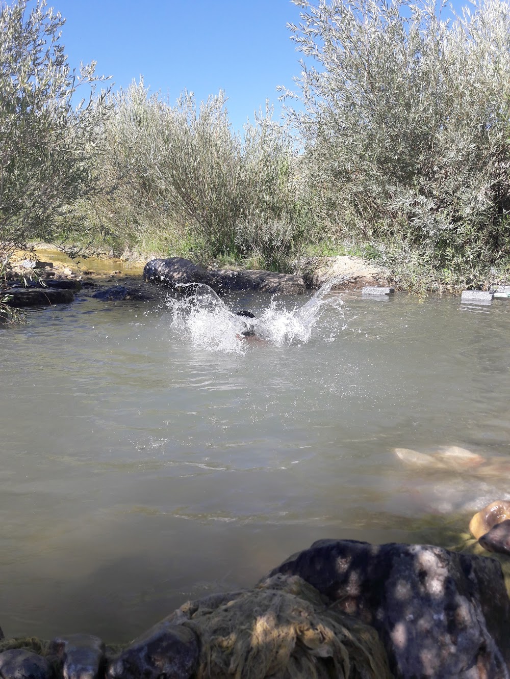 Hakkı Pınar İlkokulu kampüs fotoğrafı