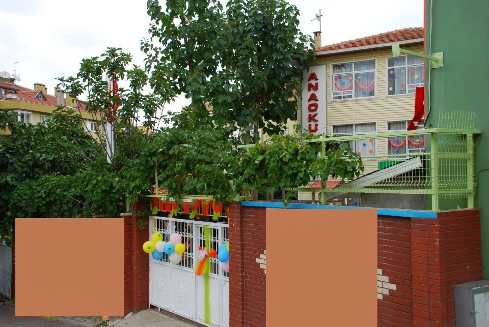 Özel Cevher Koleji İlkokulu Fotoğrafları 2