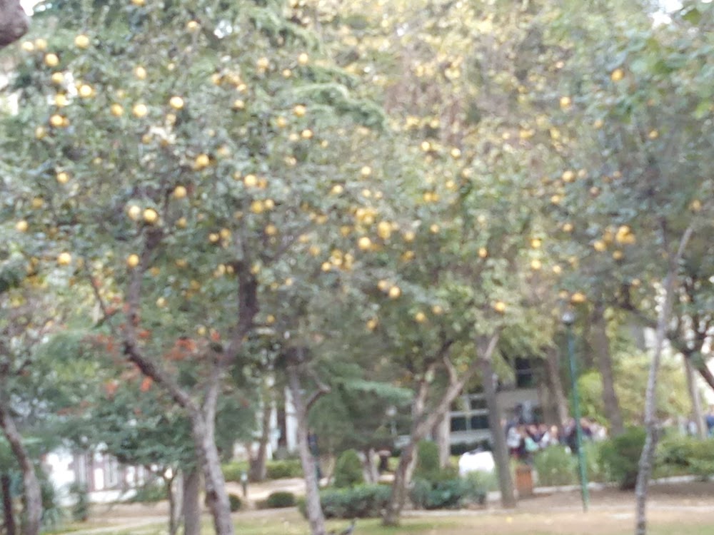 Fmv. Işık Okulları Erenköy Fen Lisesi Fotoğrafları 2