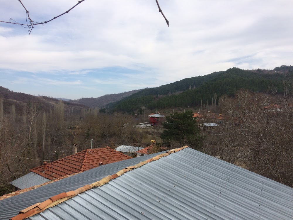  Taşoluk İlkokulu Fotoğrafları 2