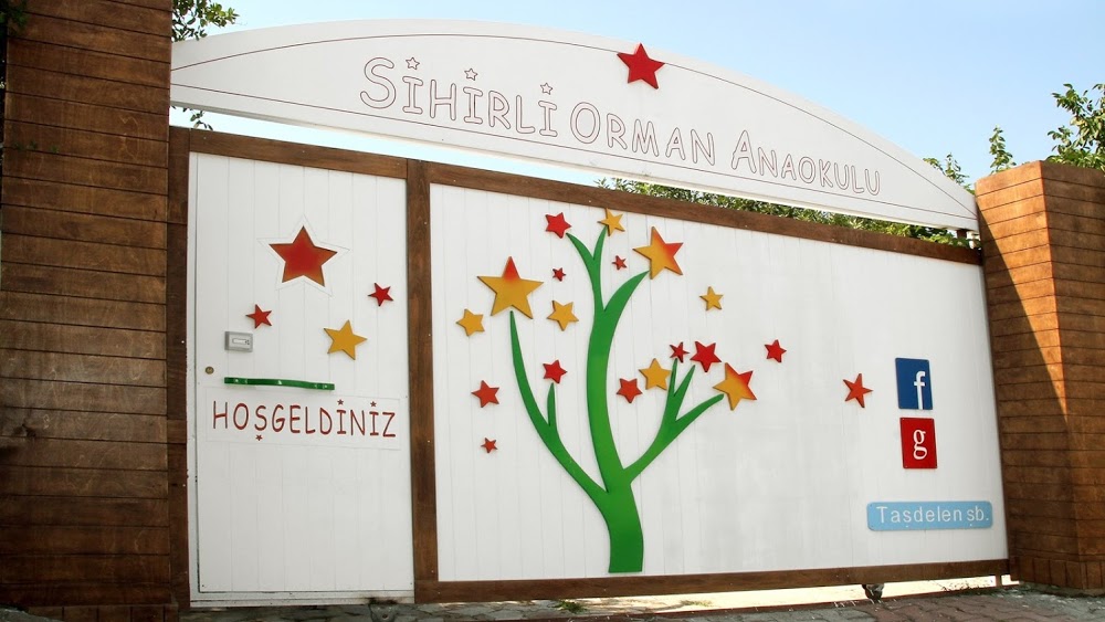Özel İçerenköy Sihirli Orman Anaokulu fotoğraf 4