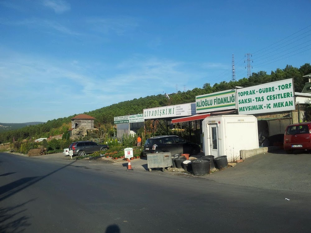 Özel İçerenköy Sihirli Orman Anaokulu fotoğraf 11