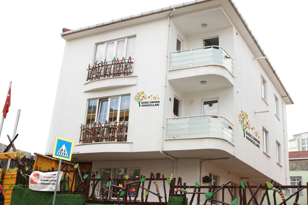 Özel İçerenköy Sihirli Orman Anaokulu fotoğraf 1