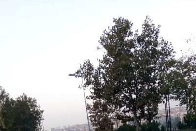 Koçarlı Bağcılar İlkokulu fotoğraf 5