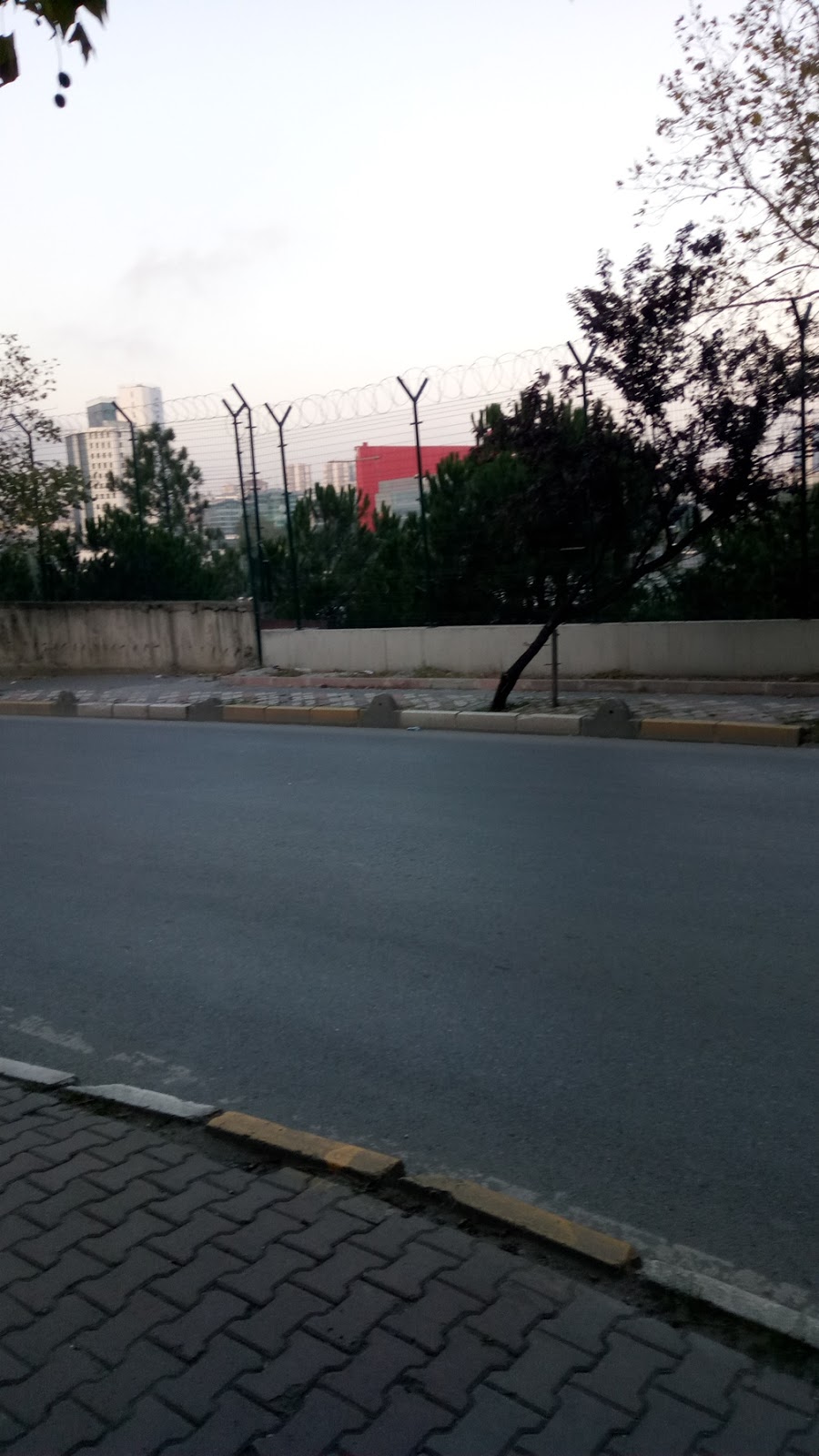 Koçarlı Bağcılar İlkokulu Fotoğrafları 6