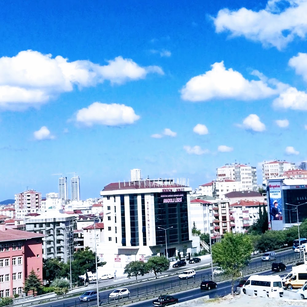 Özel Birikim Hayat Koleji İlkokulu fotoğraf 8