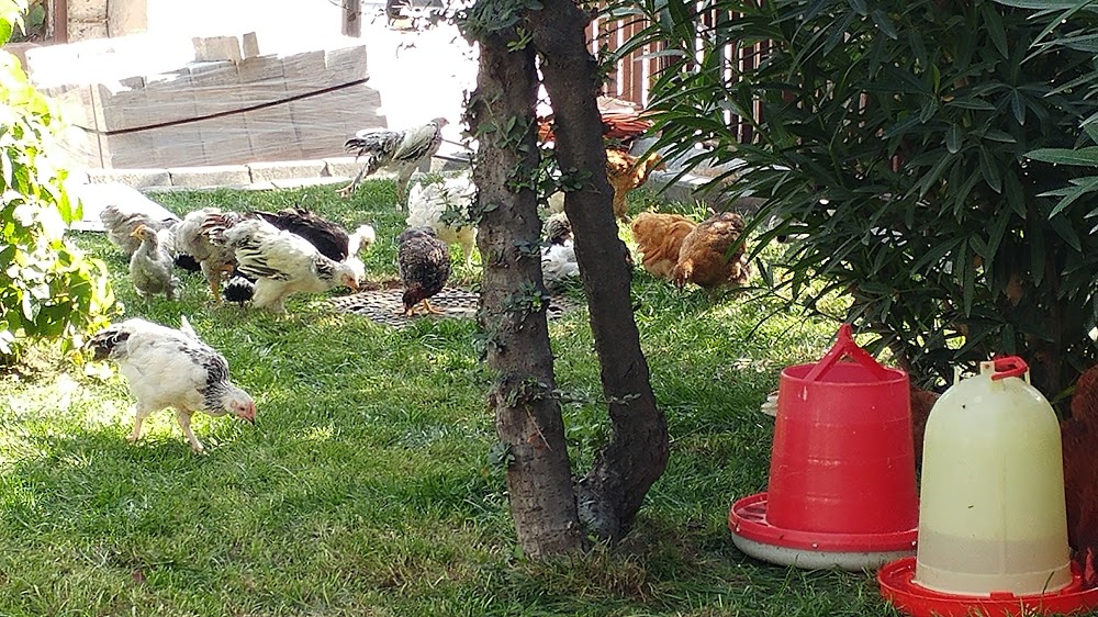 Özel Final Okulları Basın Ekspres Ortaokulu Fotoğrafları 3