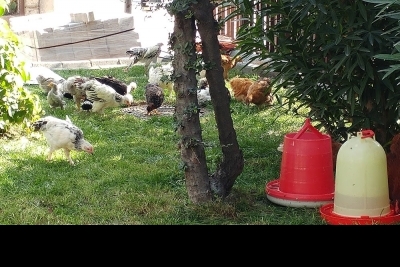 Özel Final Okulları Basın Ekspres Ortaokulu fotoğraf 3