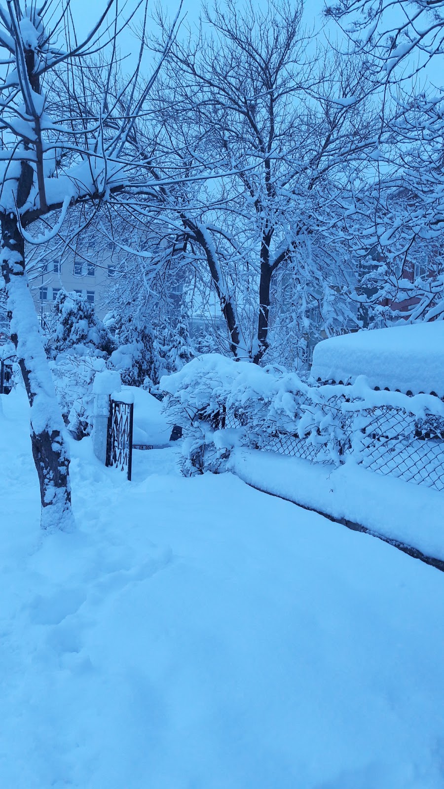 Kuşadası Yayla İlkokulu Fotoğrafları 3