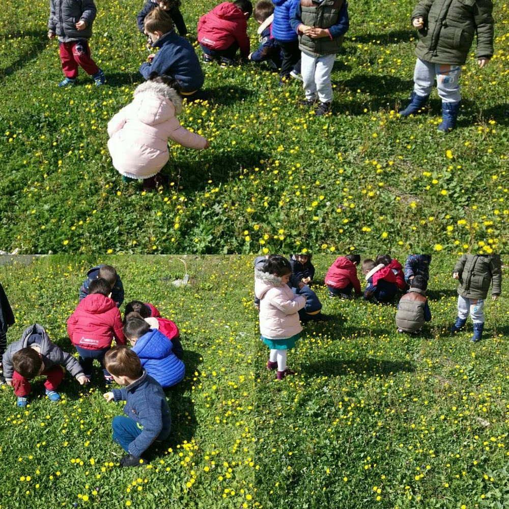 Gürdal Çocuk Yuvaları Ataköy Şubesi fotoğraf 2