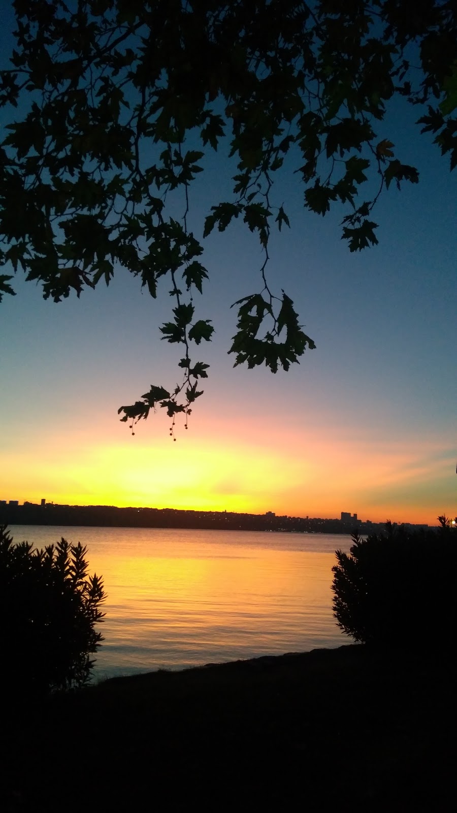 Küçükçekmece Özel Bilge Ortaokulu Fotoğrafları 4