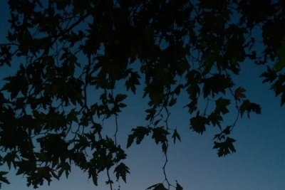 Küçükçekmece Özel Bilge Ortaokulu fotoğraf 4