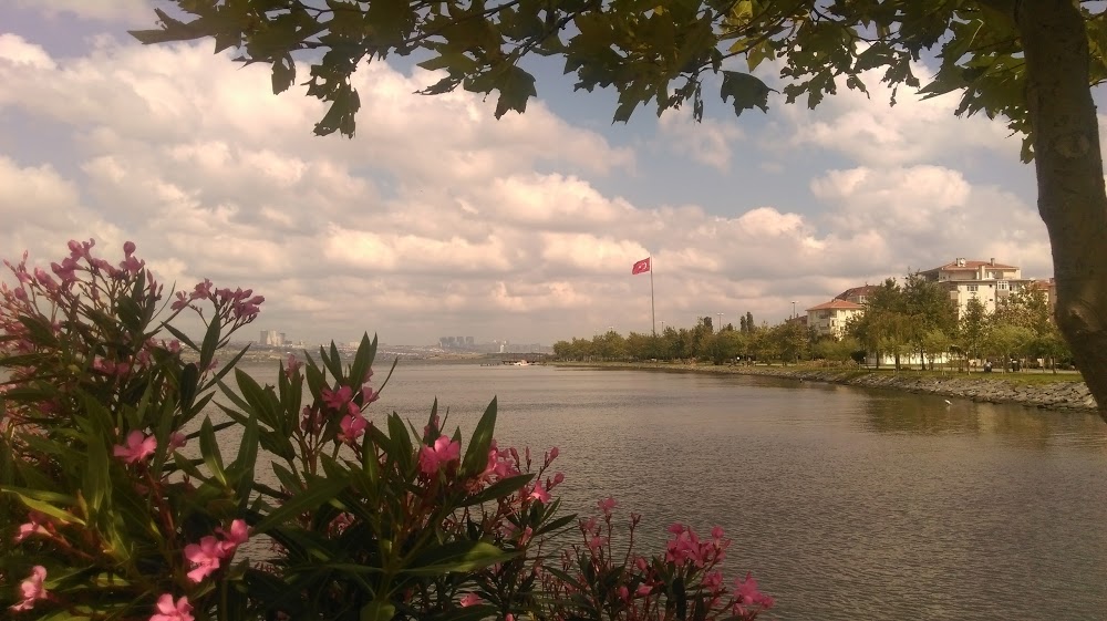 Küçükçekmece Özel Bilge Ortaokulu Fotoğrafları 3