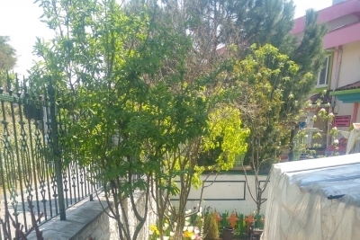 Özel Batışehir Doğa Koleji Anaokulu fotoğraf 6