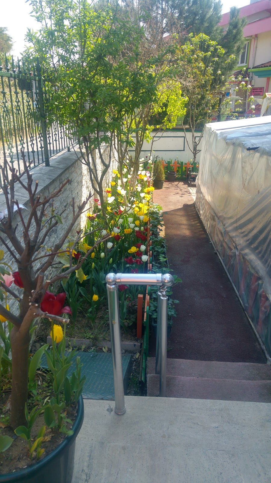 Özel Başakşehir Doğa Koleji Anadolu Lisesi Fotoğrafları 2