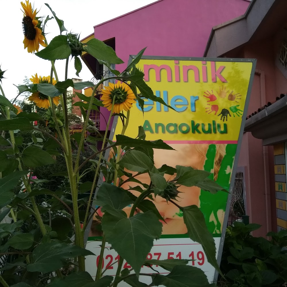 Bakırköy Özel Minik Eller Anaokulu Fotoğrafları 4