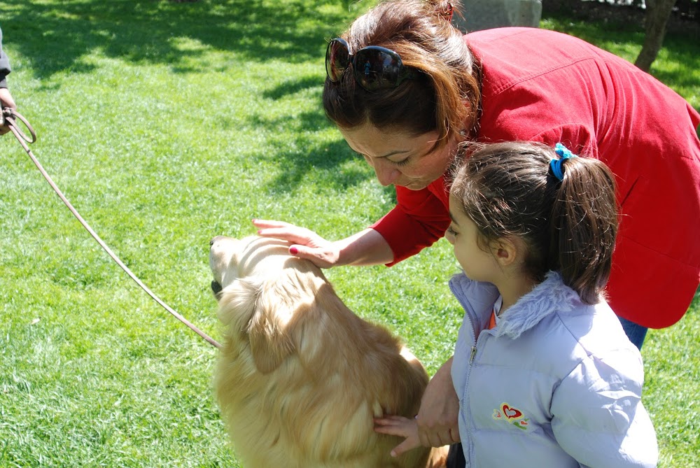 Özel Oyun Bahçesi Anaokulu Fotoğrafları 5