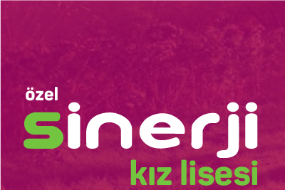 Özel Sinerji Temel Kız Lisesi fotoğraf 4
