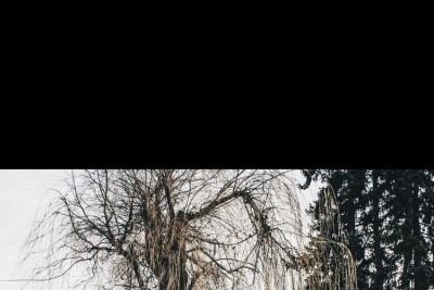 Özel Başakşehir 5. Etap Yenidoğu Okulları Ortaokulu fotoğraf 2
