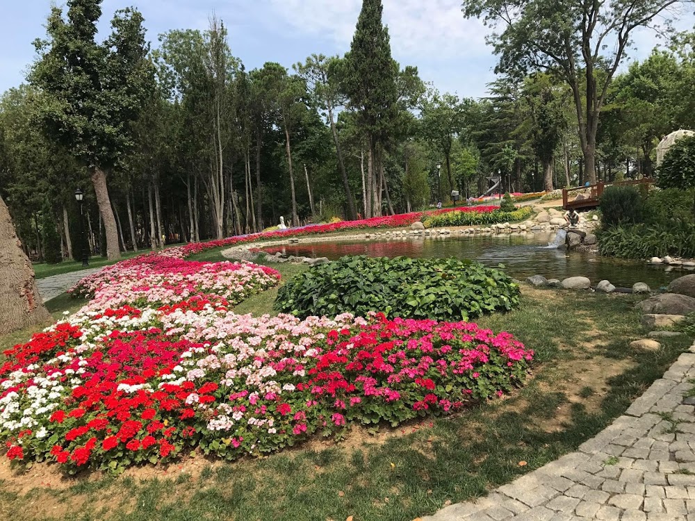 Özel Pera Çocuk Anaokulu fotoğraf 4