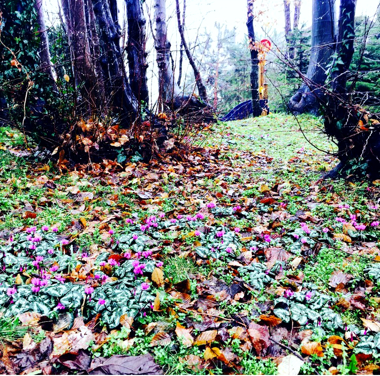 Özel Bilfen Koleji Acarkent Anaokulu Fotoğrafları 5