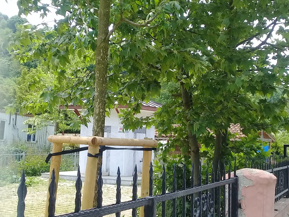 Özel Beykoz Doğa Koleji Ortaokulu Fotoğrafları 2