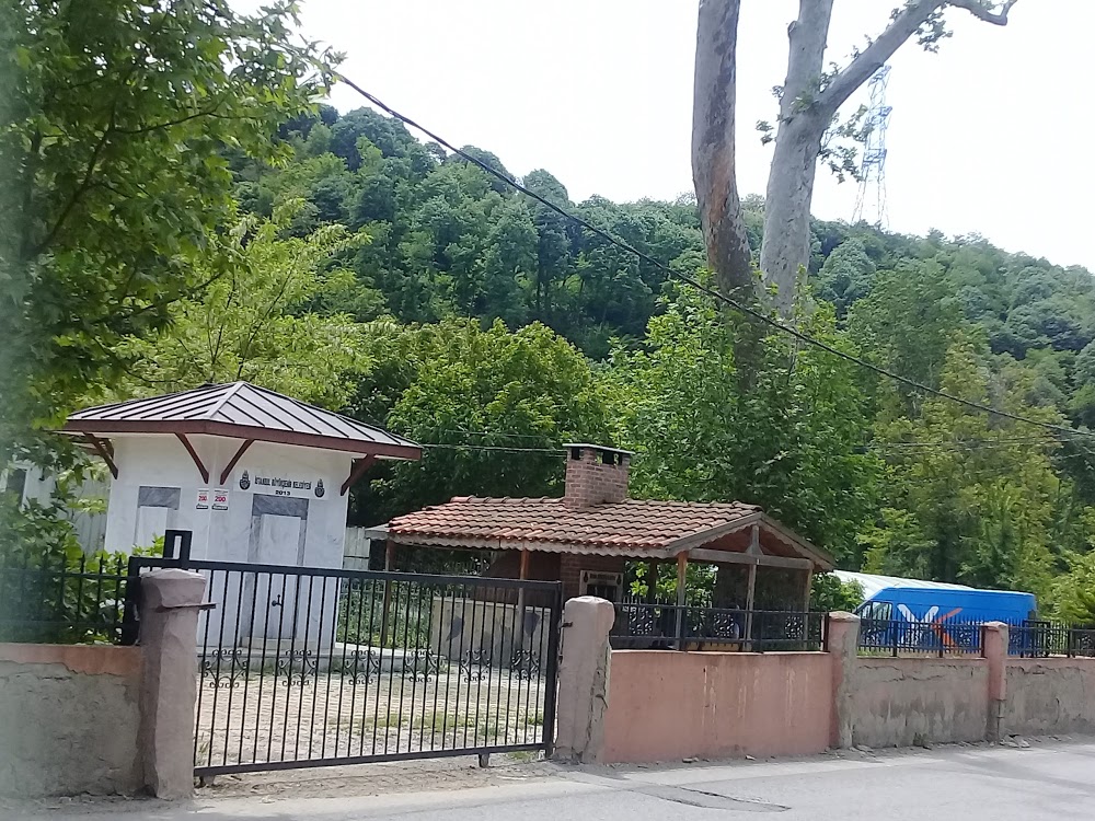 Özel Beykoz Doğa Koleji Ortaokulu Fotoğrafları 4