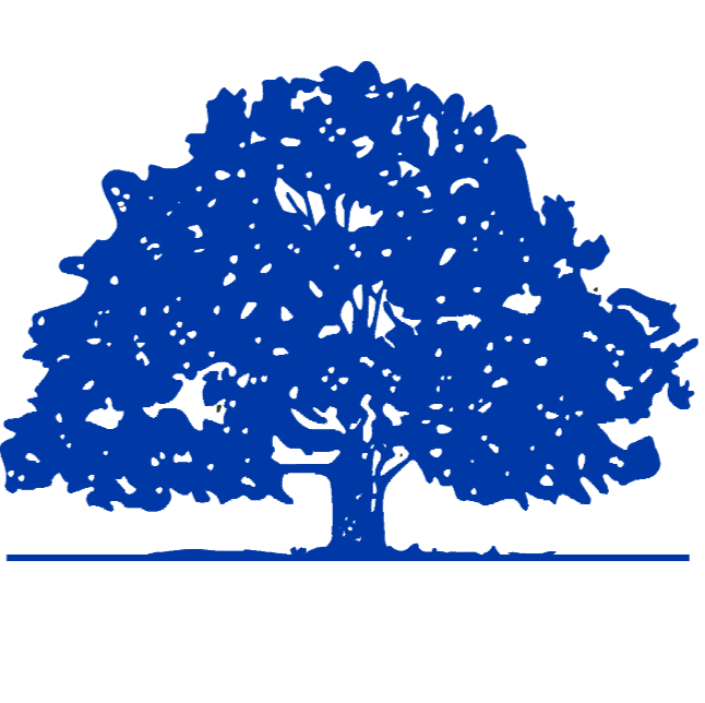 Özel Marmara Eğitim Kurumları Lisesi Fotoğrafları 6