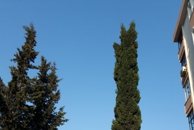 Özel Mektebim Okulları Beykent Ortaokulu fotoğraf 4
