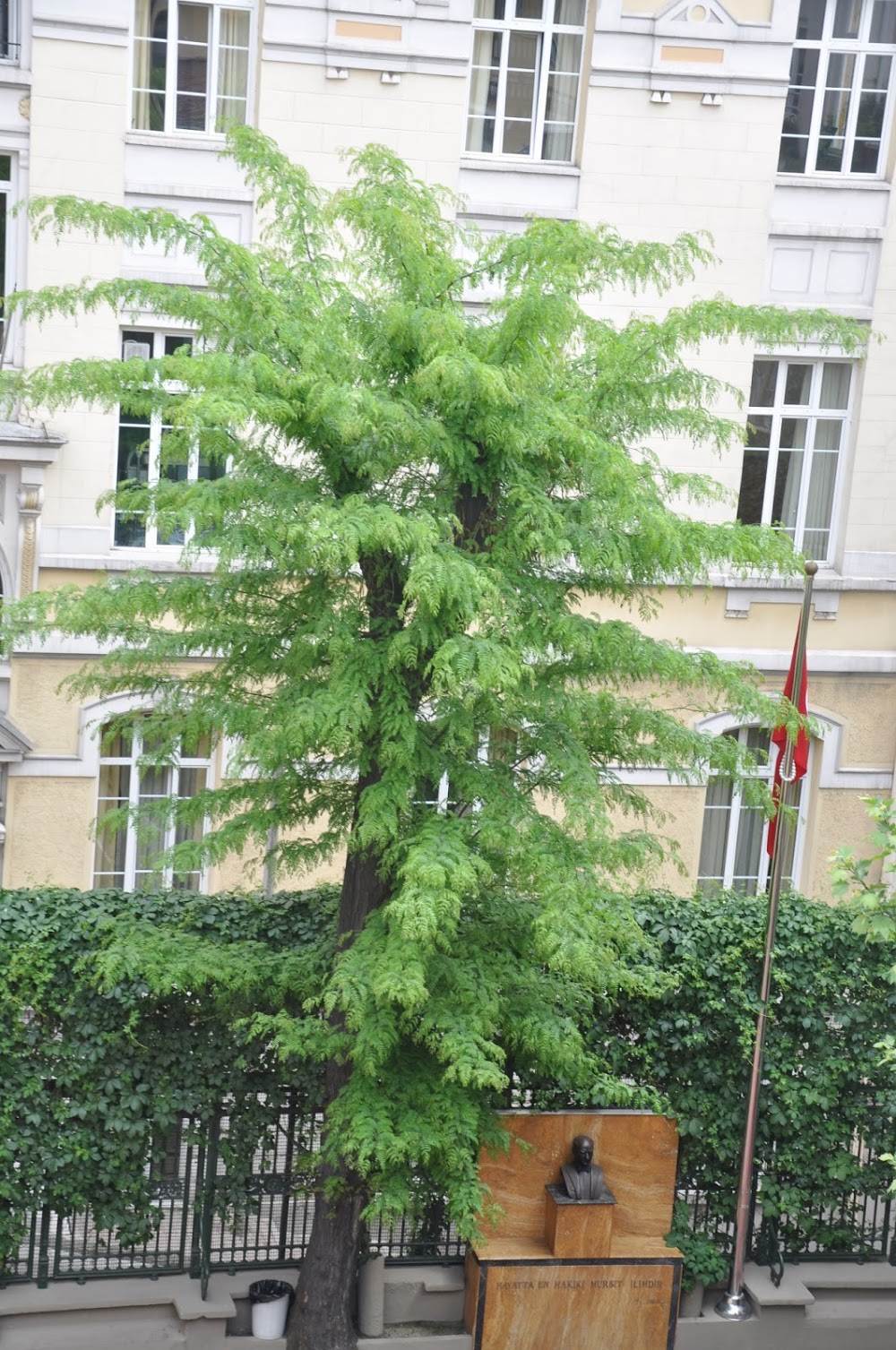 Özel Sankt Georg Avusturya Lisesi Ve Ticaret Okulu Fotoğrafları 5