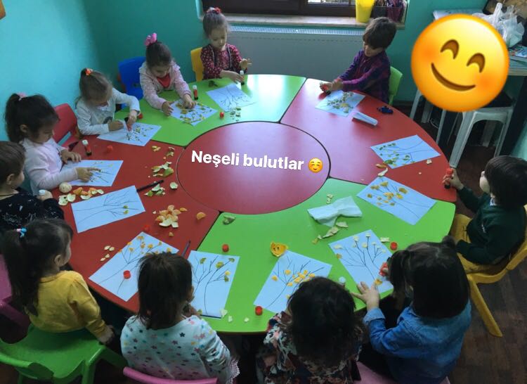 Özel Şebnem Anaokulu  Fotoğrafları 1