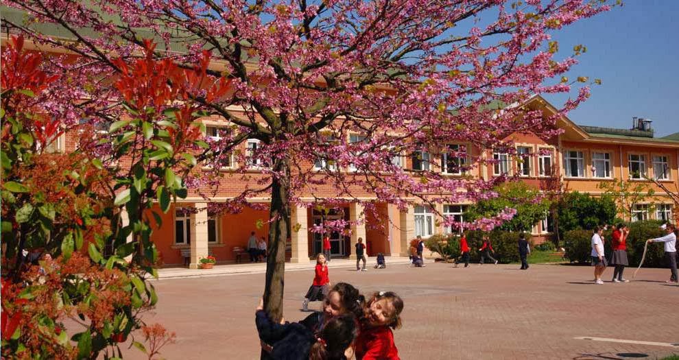 Özel Sezin Koleji Ortaokulu Fotoğrafları 2