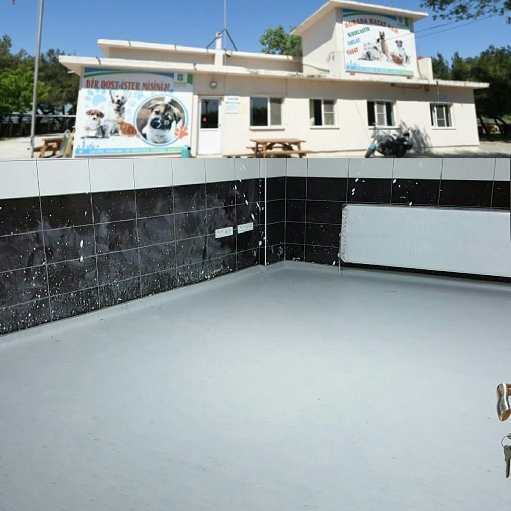 Özel Sezin Koleji Ortaokulu Fotoğrafları 1