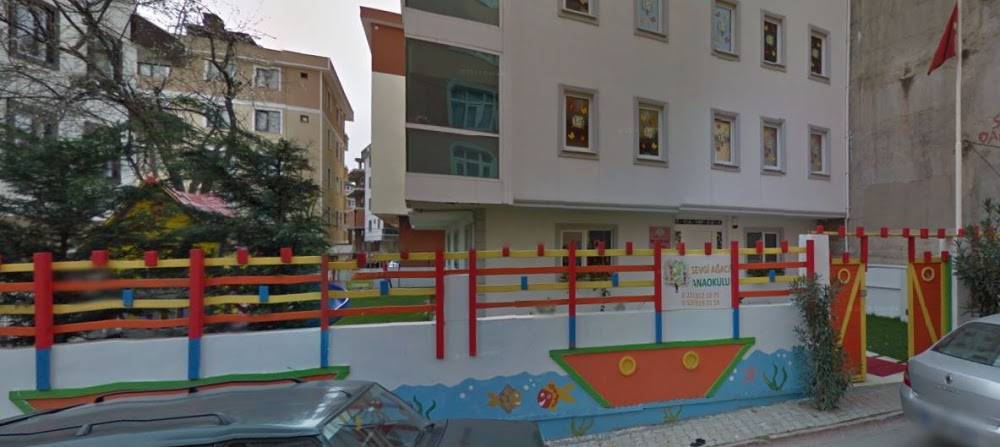 Özel Sevgi Ağacı Anaokulu Fotoğrafları 2