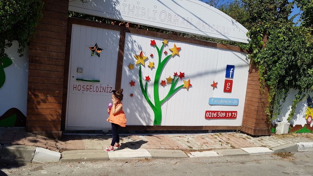 Özel Sihirli Orman Anaokulu Fotoğrafları 3