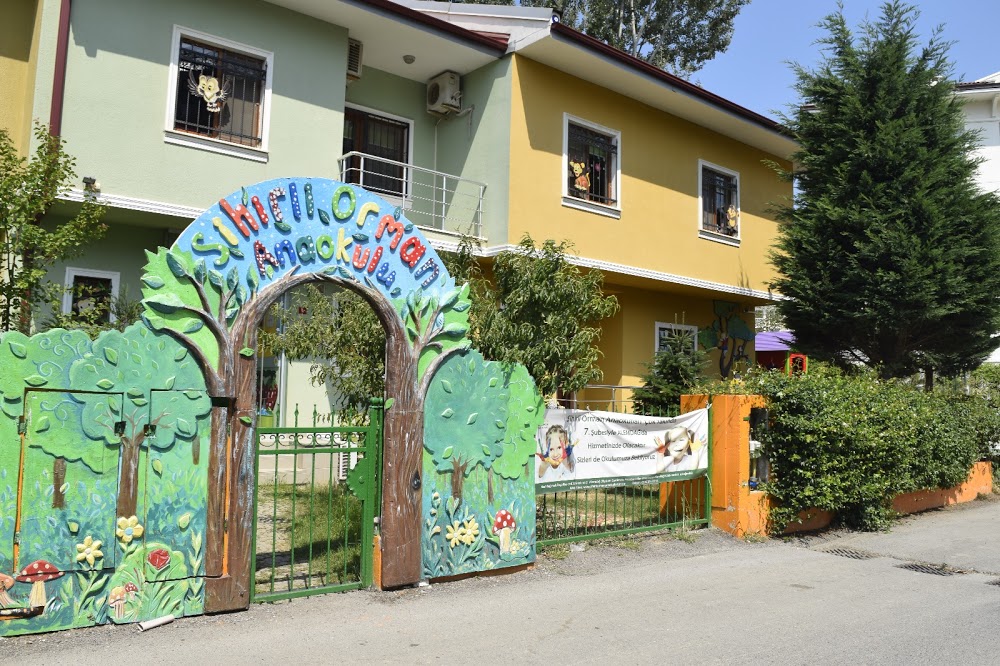 Özel Sihirli Orman Anaokulu Fotoğrafları 6