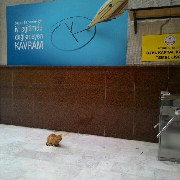 Beşiktaş Kavram Temel Lisesi fotoğraf 2