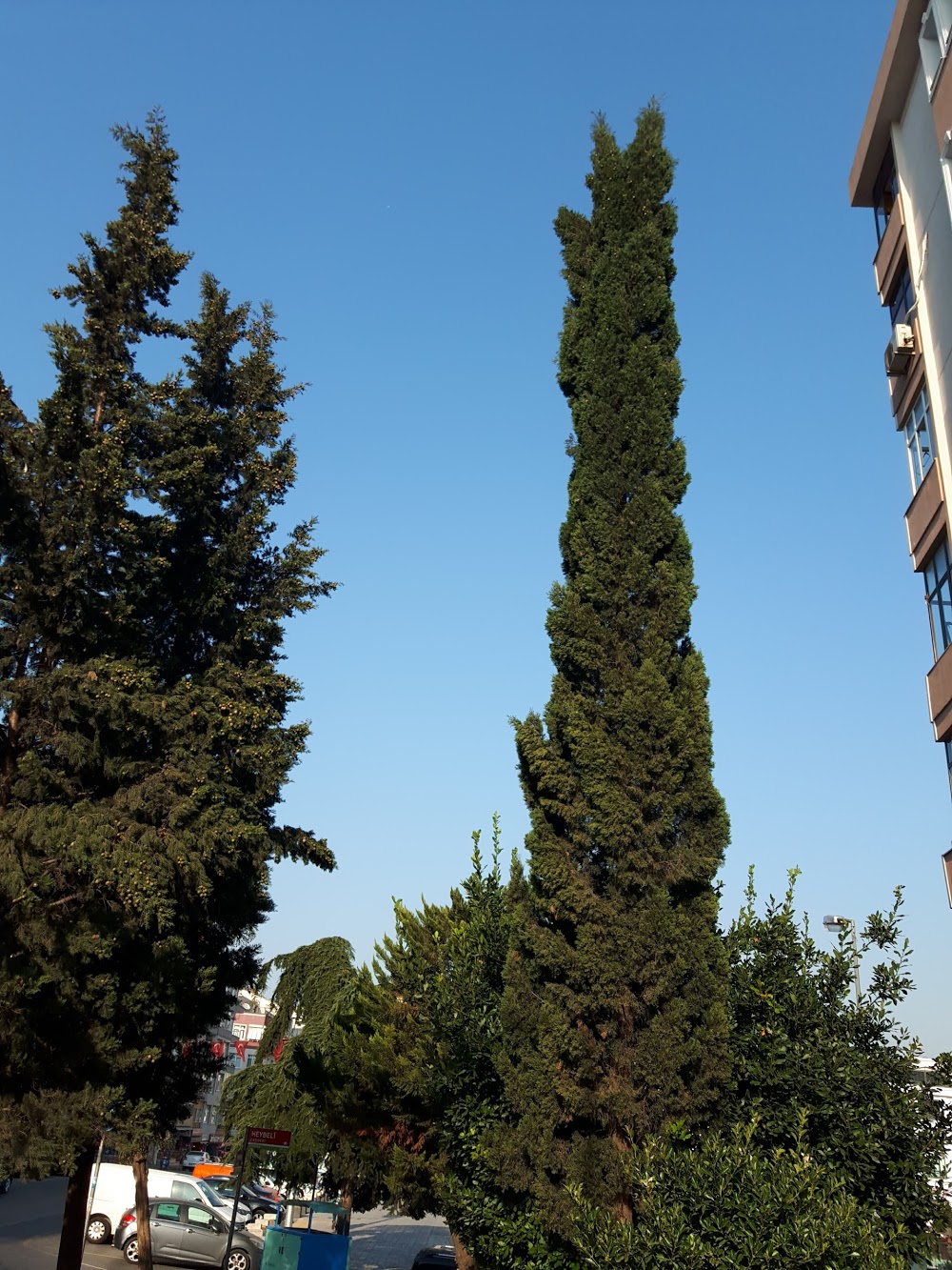 Özel Mektebim Okulları Bahçeşehir Ortaokulu fotoğraf 2